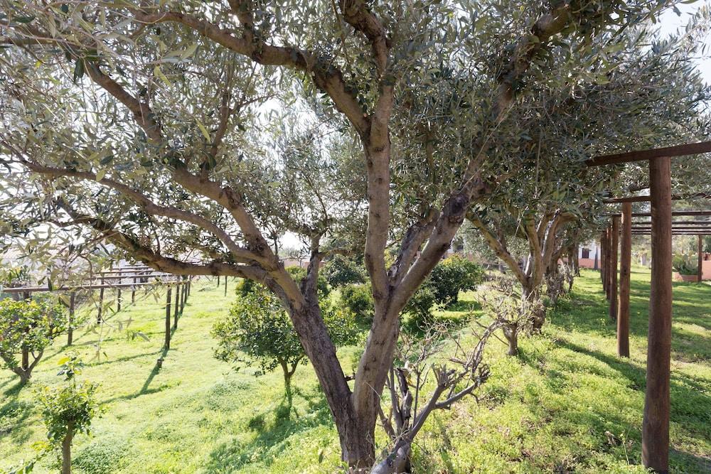 كابو فاتيكانو Residence Esmeraldo المظهر الخارجي الصورة